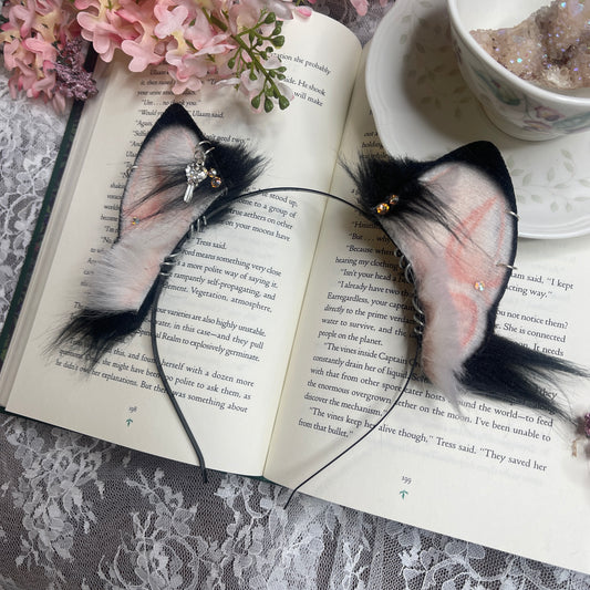 Black Kitten Ears ✨🌷