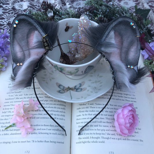 “After Dark” Blue Frenchie Pup Ears ✨🍃