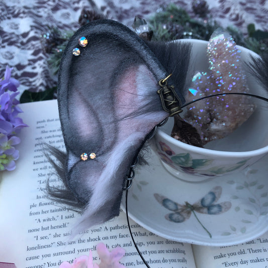 “After Dark” Blue Frenchie Pup Ears ✨🍃