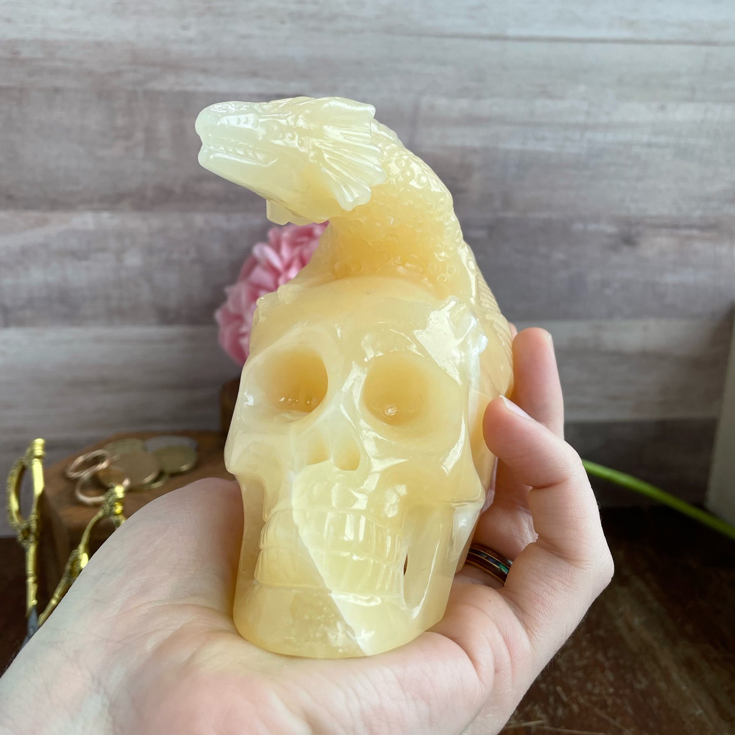 Orange Calcite Dragon on Skull