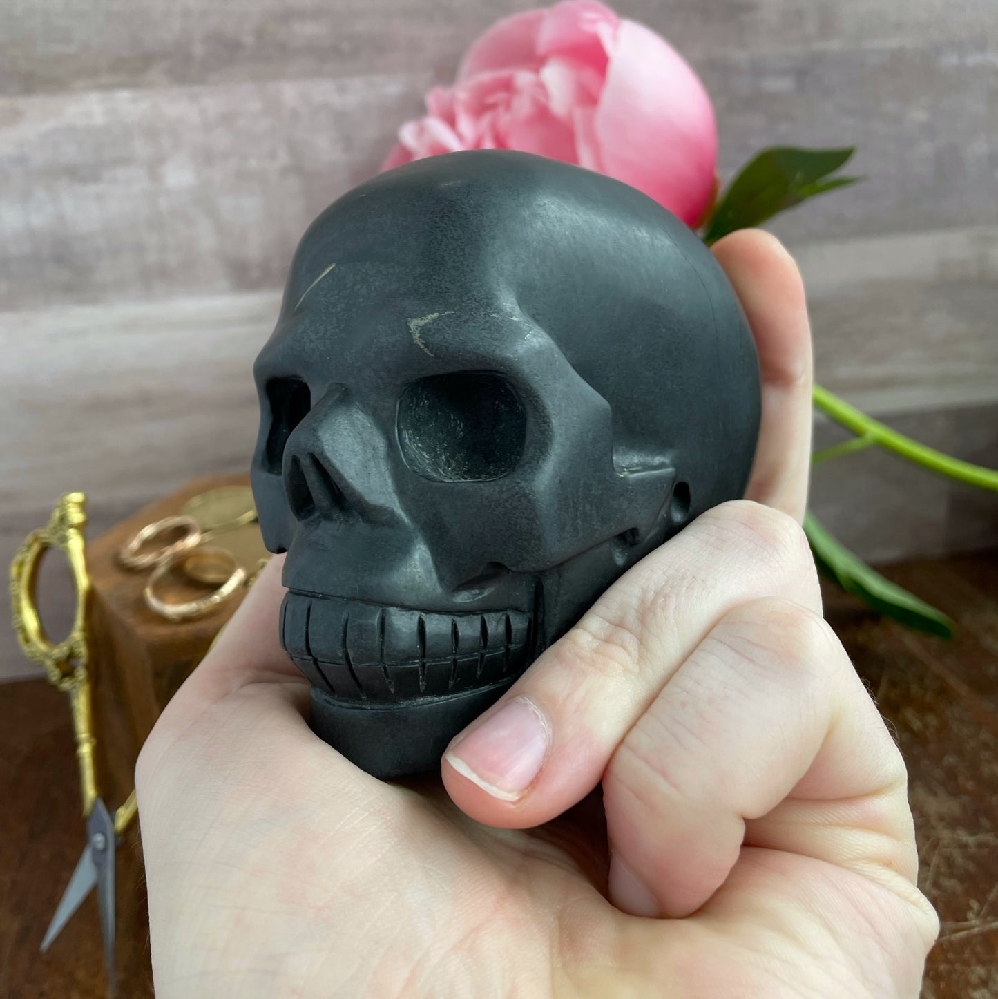 Shungite Skull