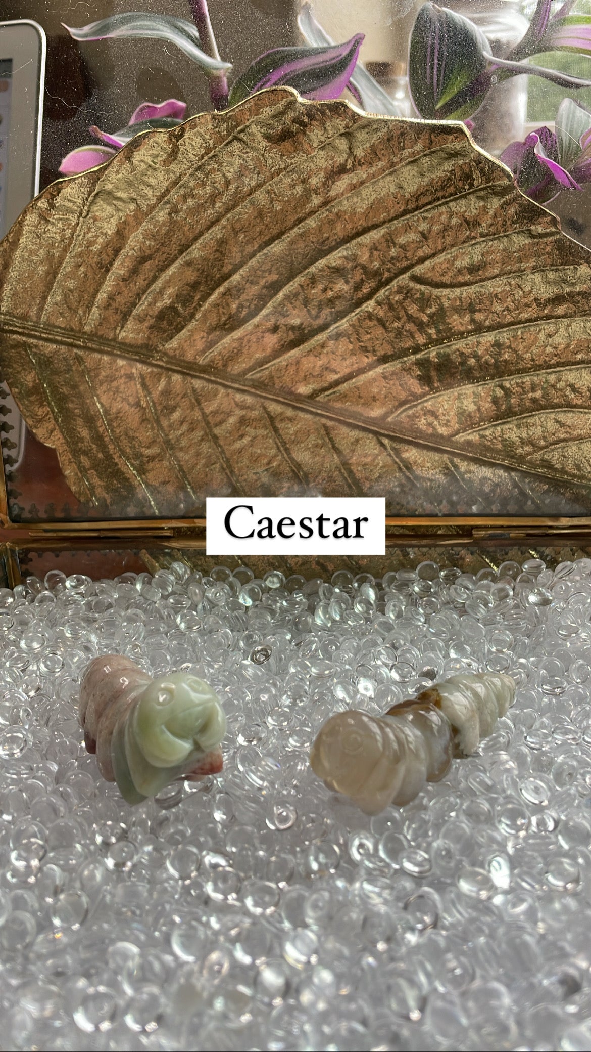 08/12/22 Crystal Claims for @Caestar
