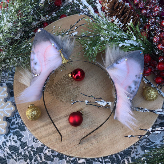 Holiday Grey Kitten Set (AUCTION SET)✨🌿