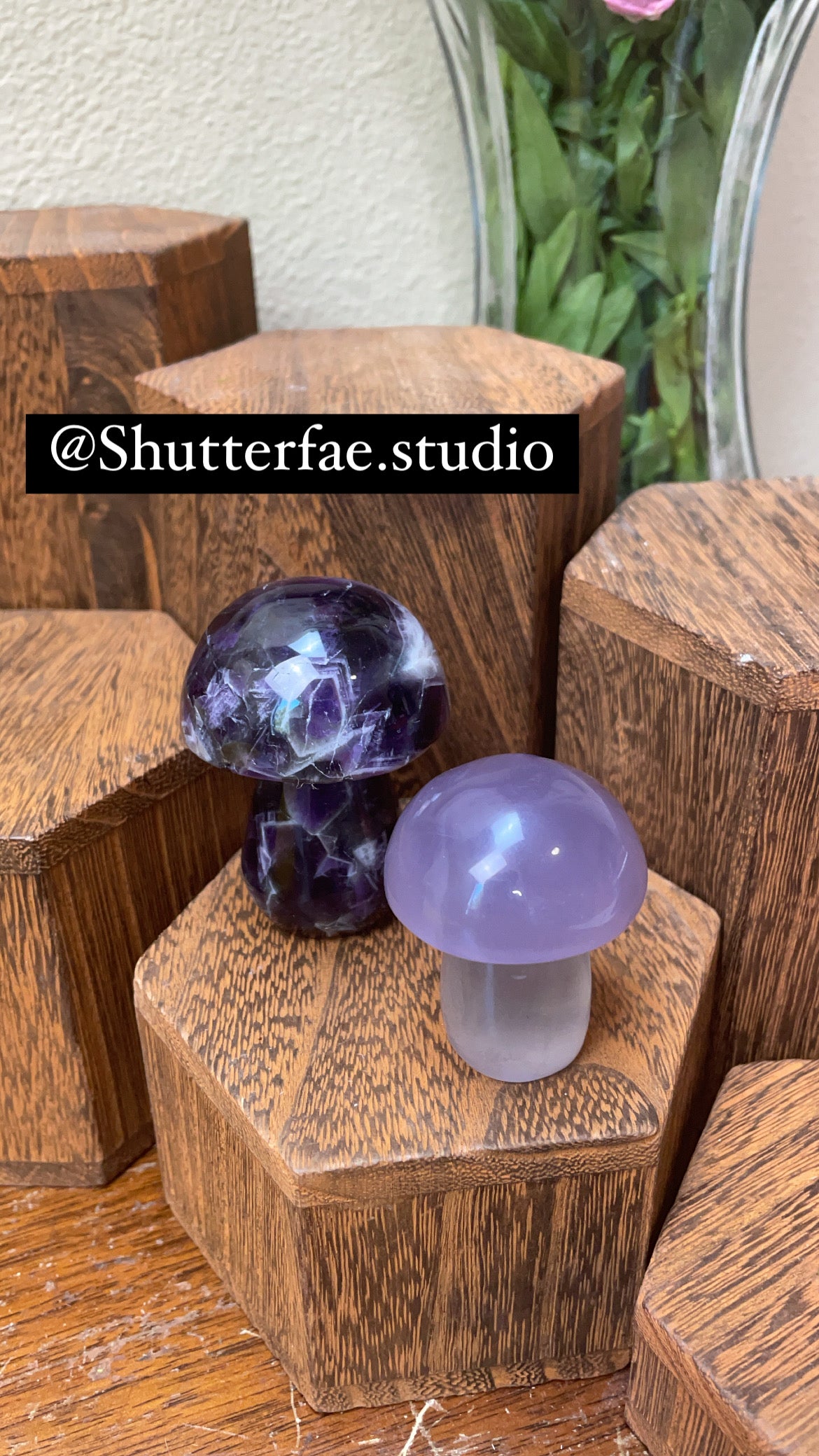 Crystal bundle for @Shutterfae.studio