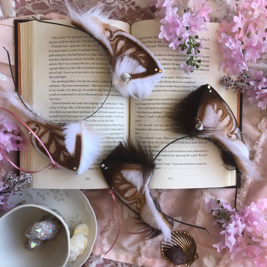 PREORDER: Latte Ears ✨🌿