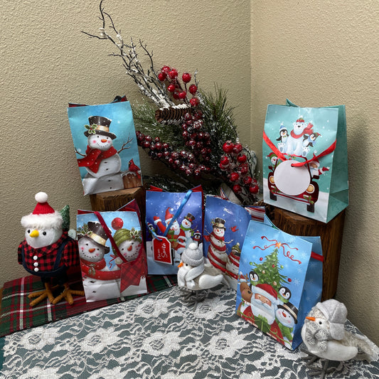 Mystery Christmas Present Bag