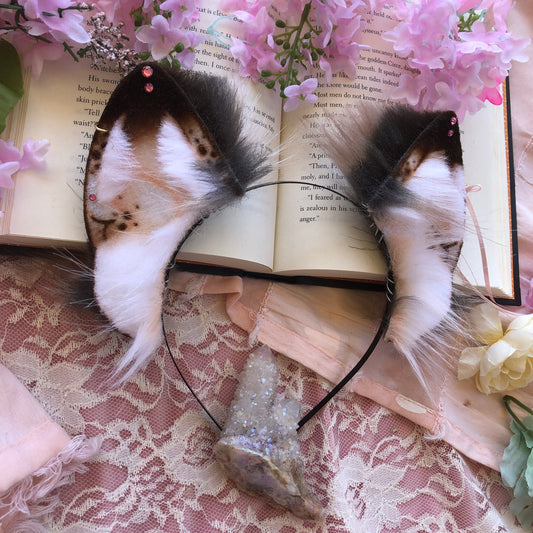 ‘Demerara Sugar’ Little Wolf Ears (Pink)✨🌿