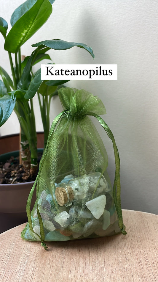 Crystal bundle for @Kateanopilus