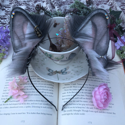 “After Dark” Blue Standard Frenchie Ears ✨🍃