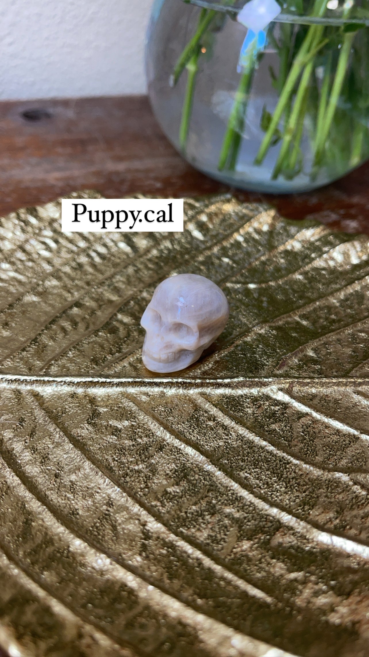 Crystal bundle for @Puppy.cal