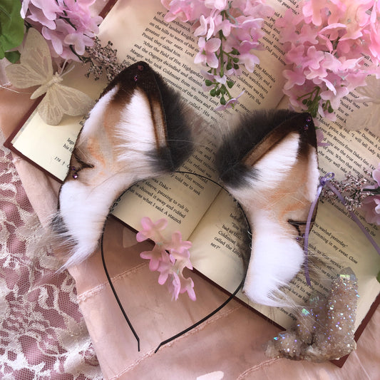 ‘Demerara Sugar’ Wolf Ears (Lavender)✨🌿