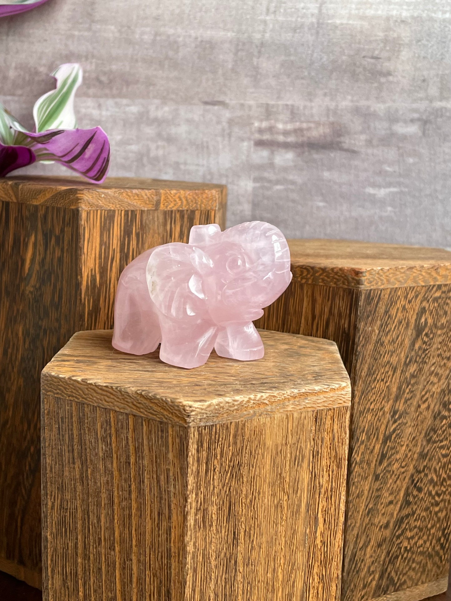 Rose Quartz Elephant
