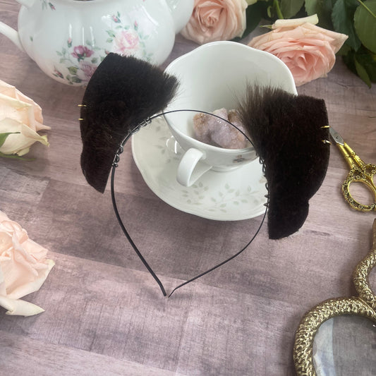 Brown Kitten Ears✨🌷
