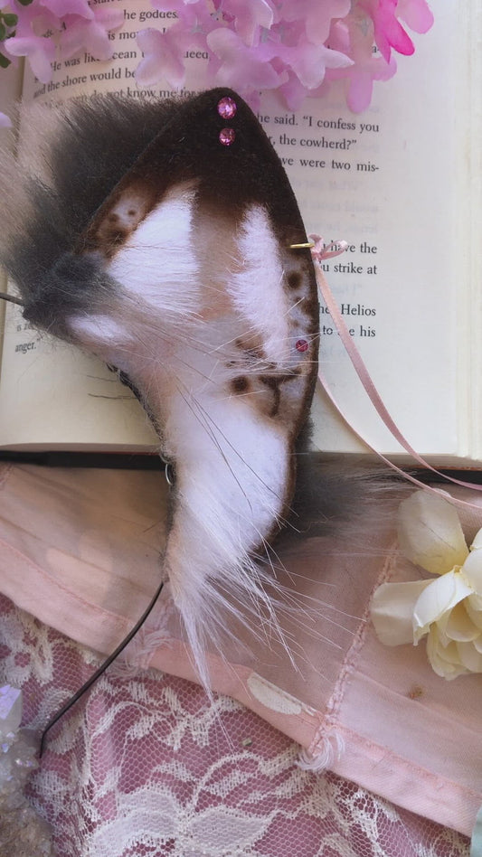 ‘Demerara Sugar’ Little Wolf Ears (Pink)✨🌿