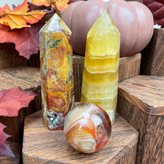 Fall Colors Bundle