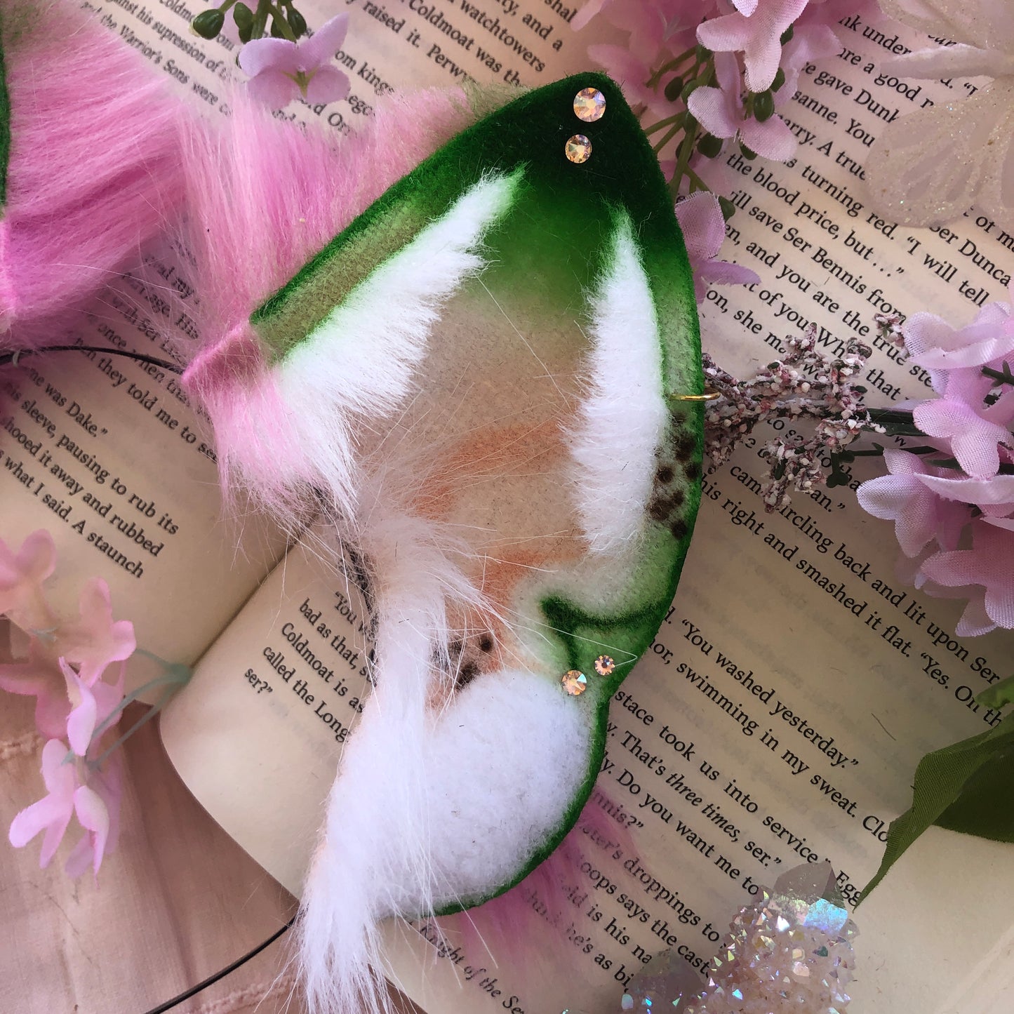 ‘Watermelon Sugar’ Wolf Ears ✨🌿