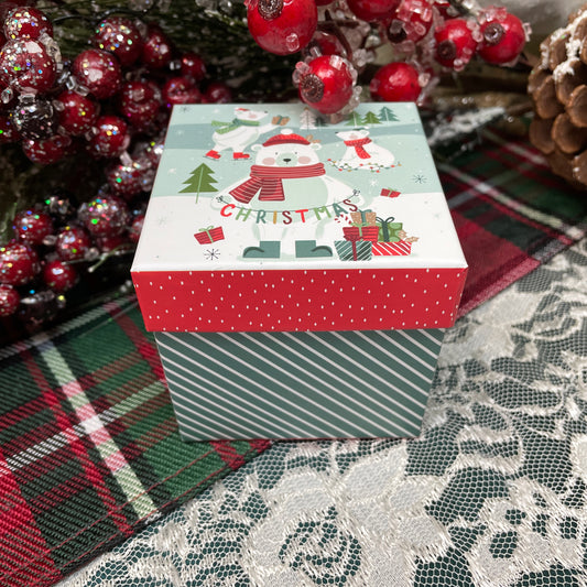 Little Mystery Christmas Present Box