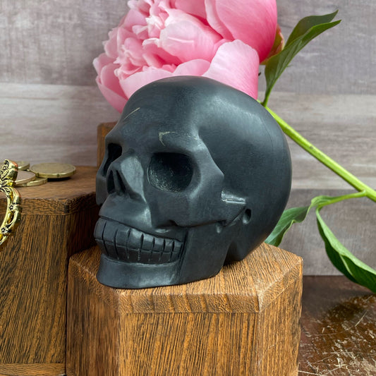 Shungite Skull