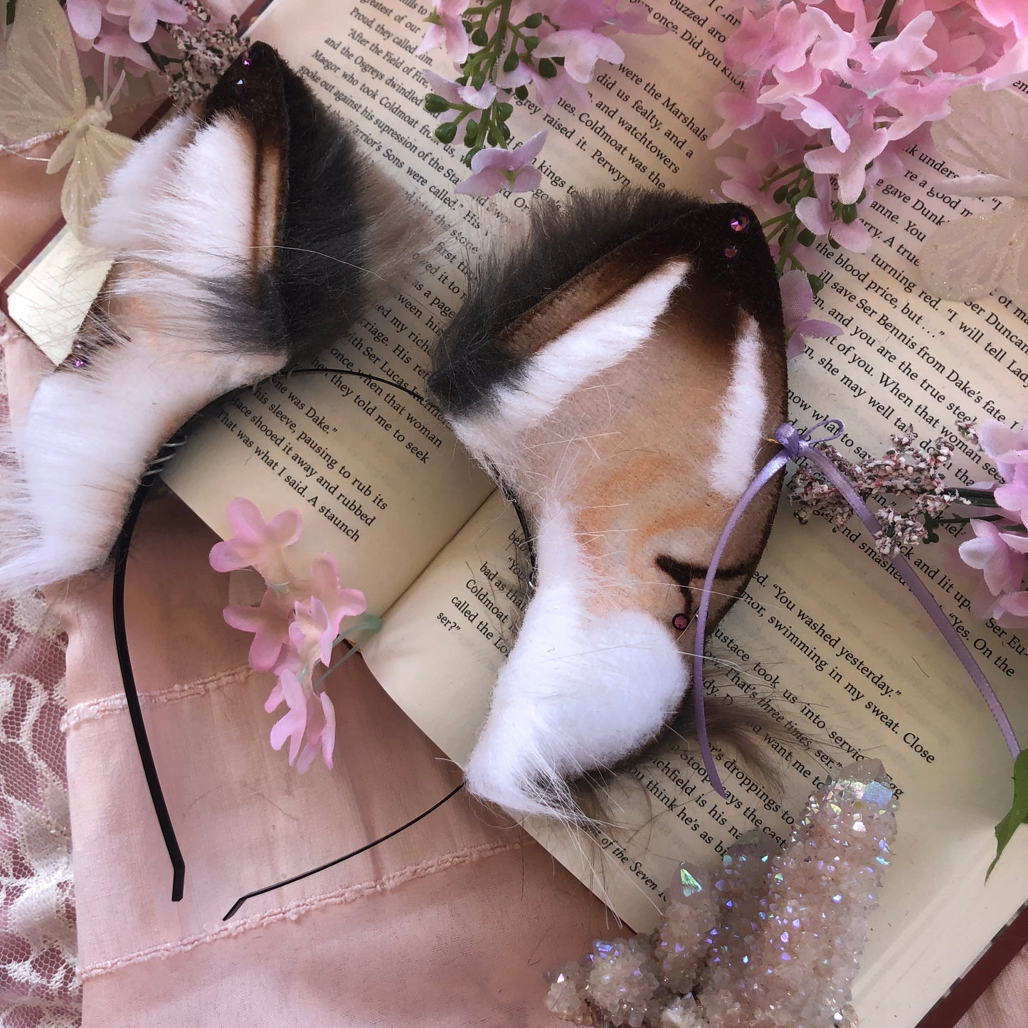 ‘Demerara Sugar’ Wolf Ears (Lavender)✨🌿