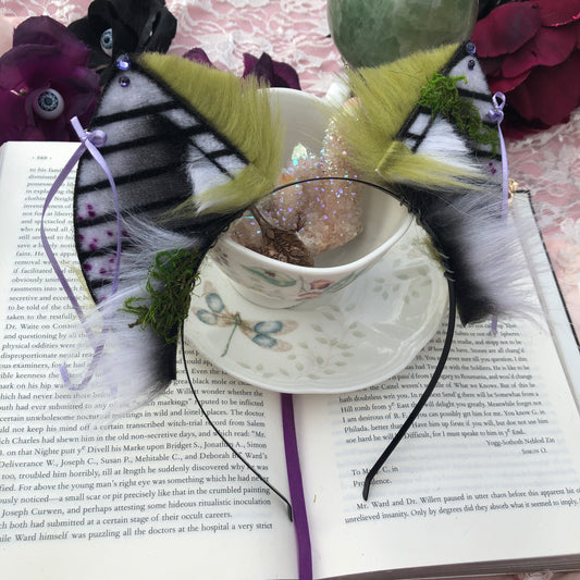 ‘Beetlejuice’ Baby Bat✨🌿