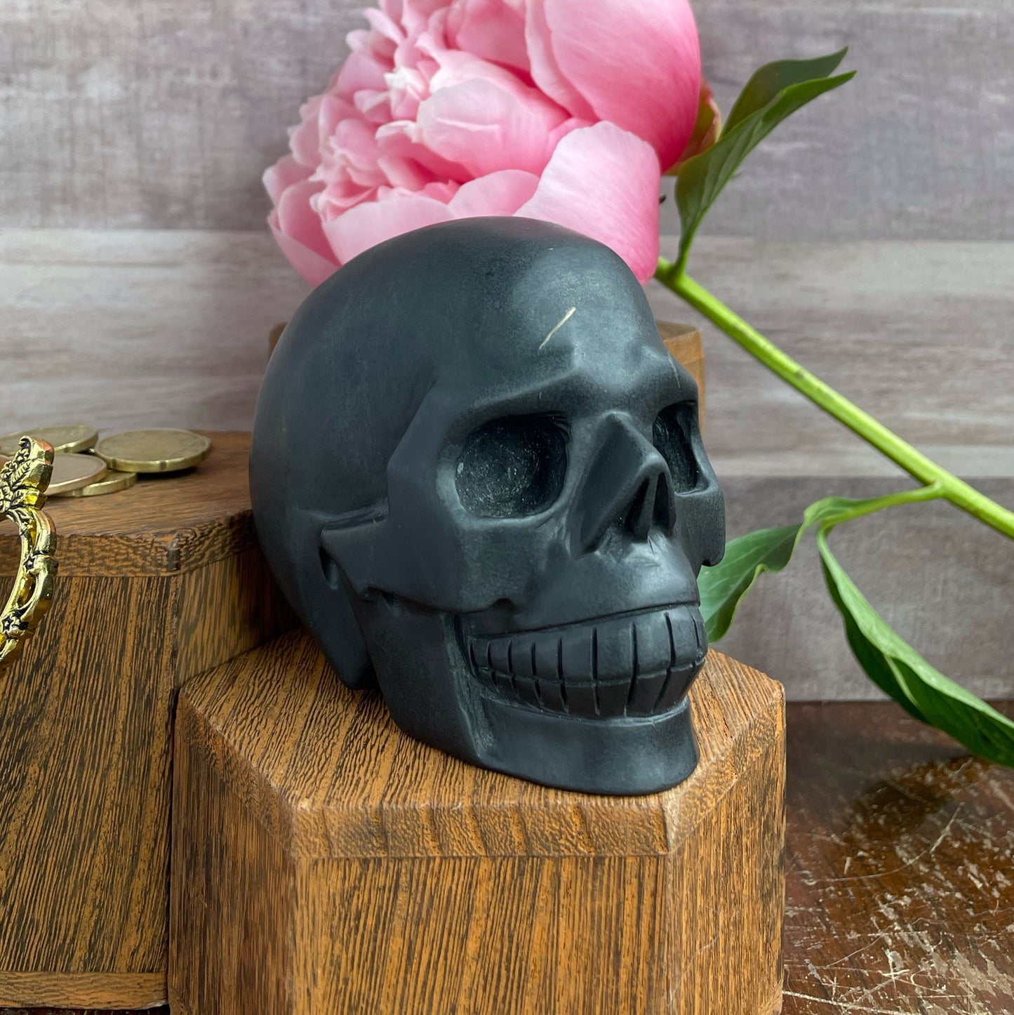 Shungite Skull