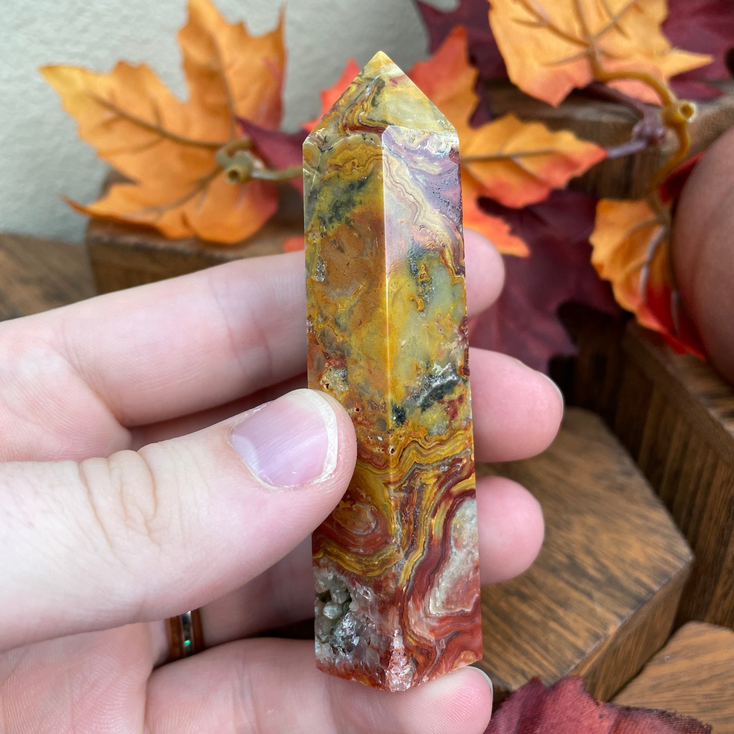 Fall Colors Bundle