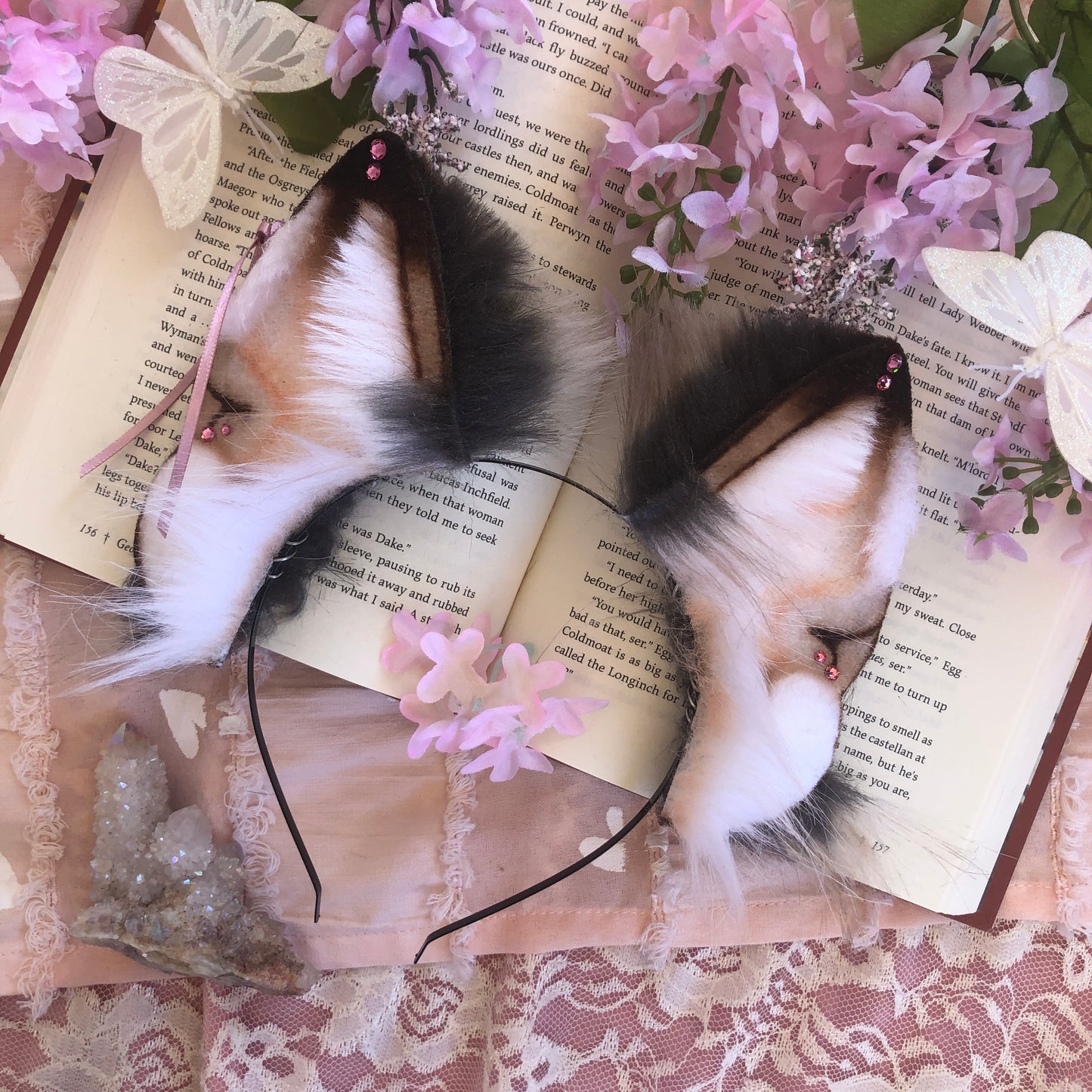 ‘Demerara Sugar’ Wolf Ears (Pink)✨🌿