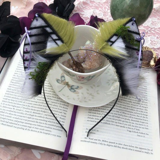‘Beetlejuice’ Baby Bat✨🌿