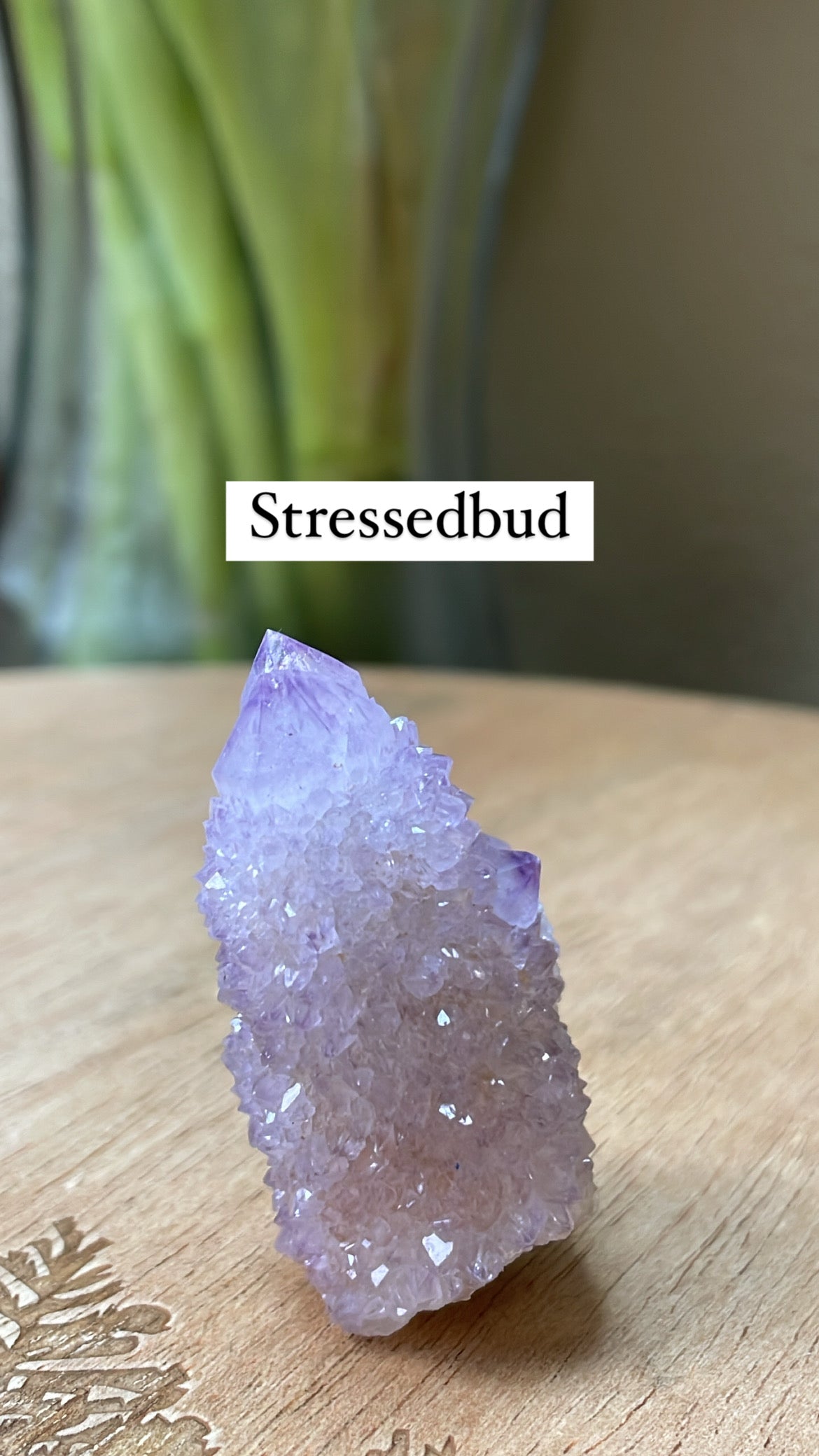 Crystal bundle for @Stressedbud