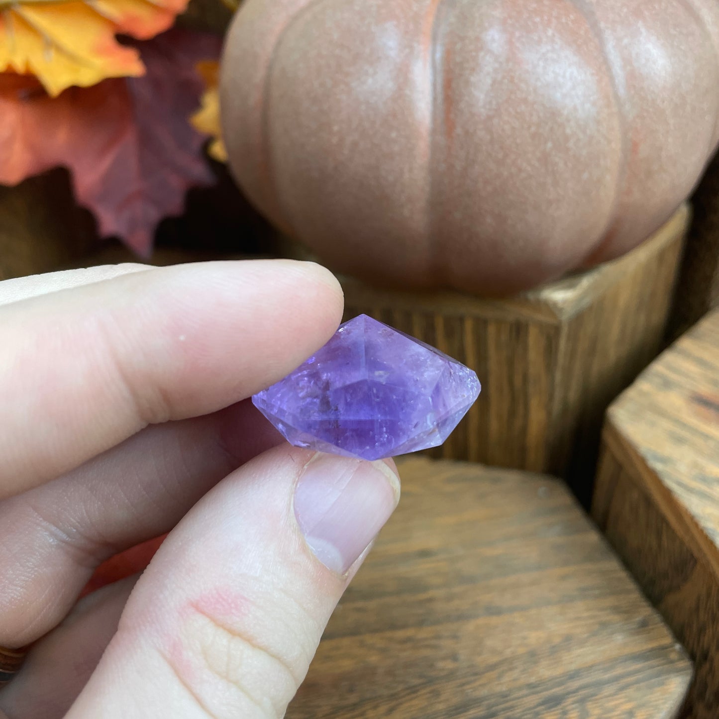 Purple Bundle