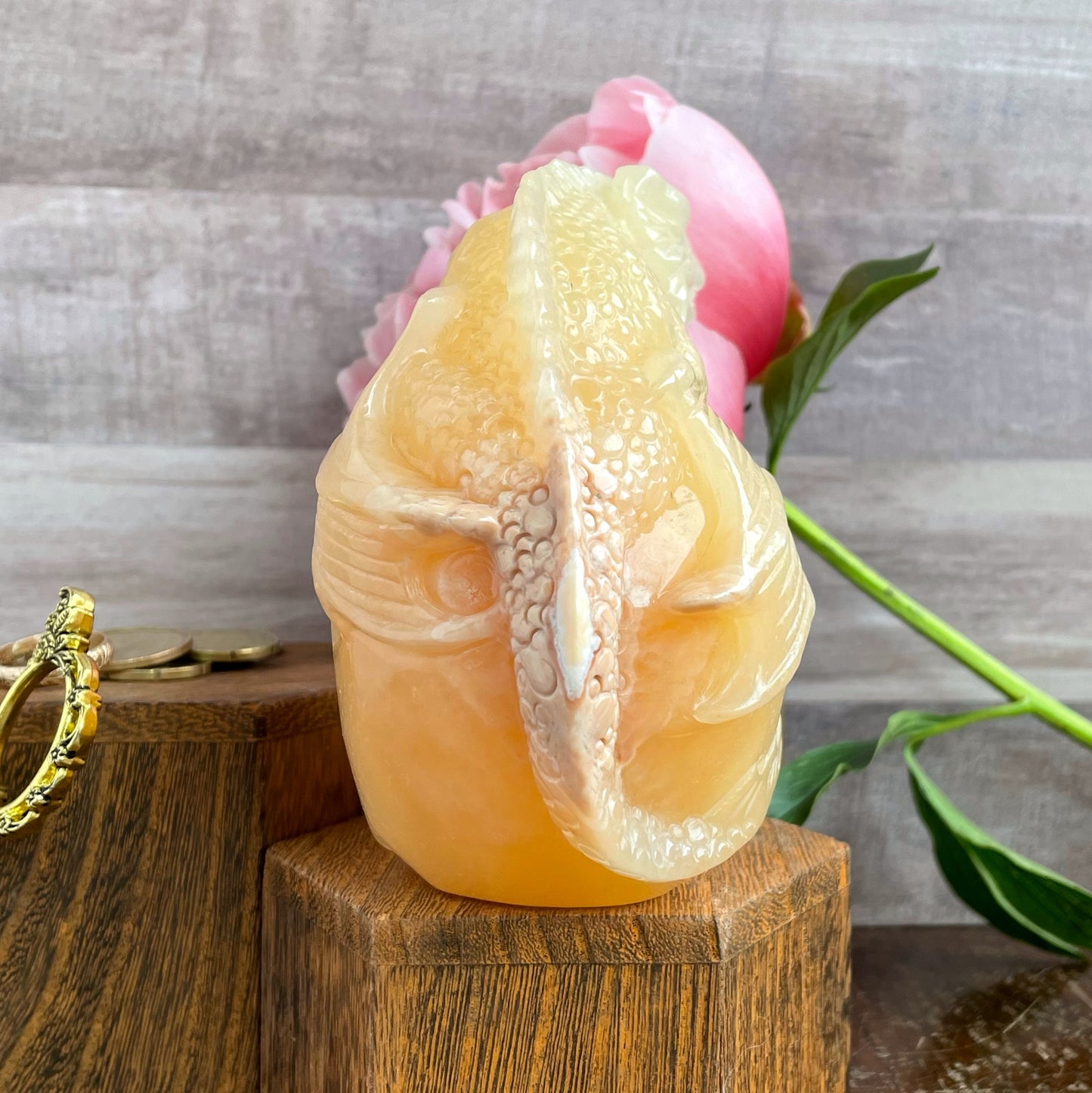 Orange Calcite Dragon on Skull