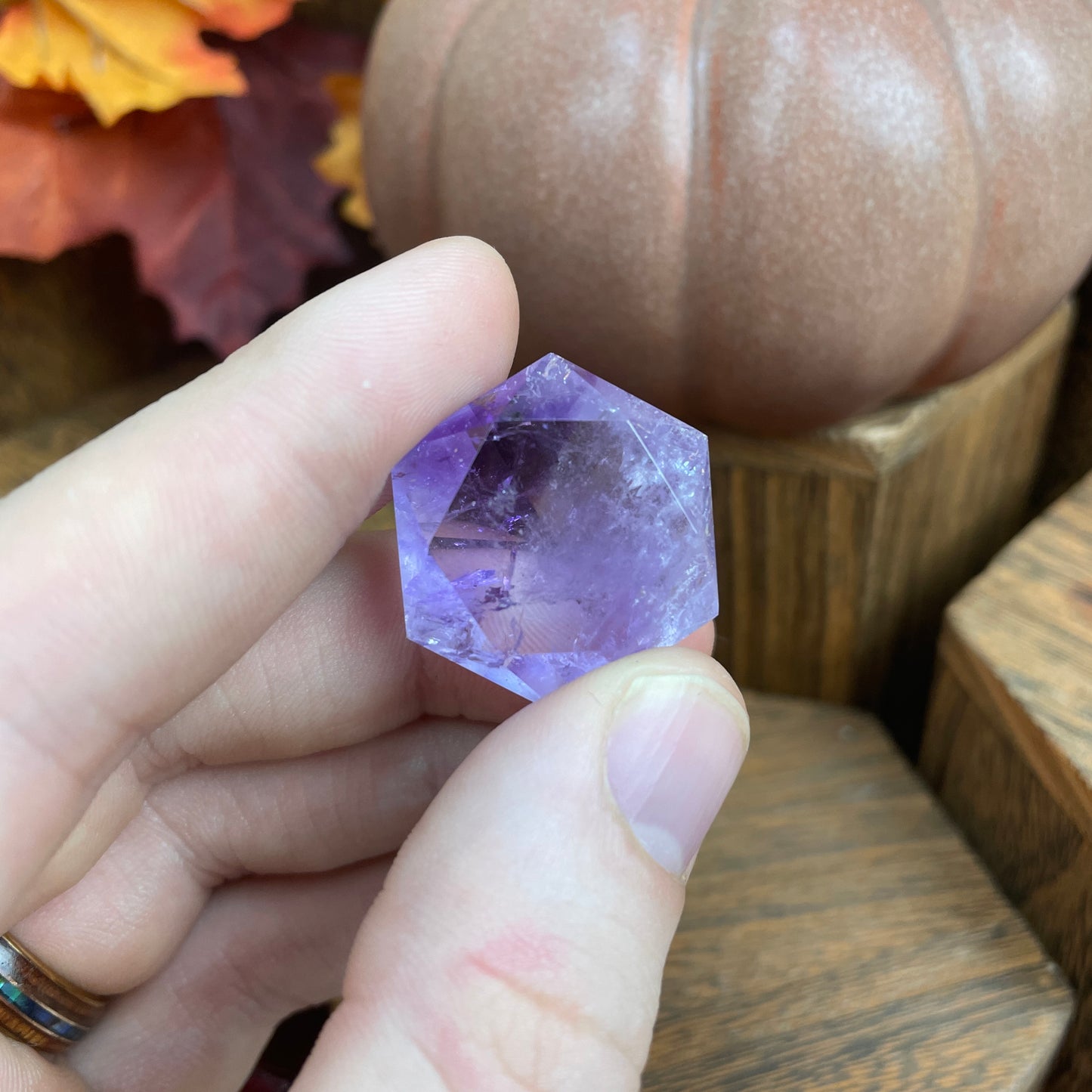 Purple Bundle
