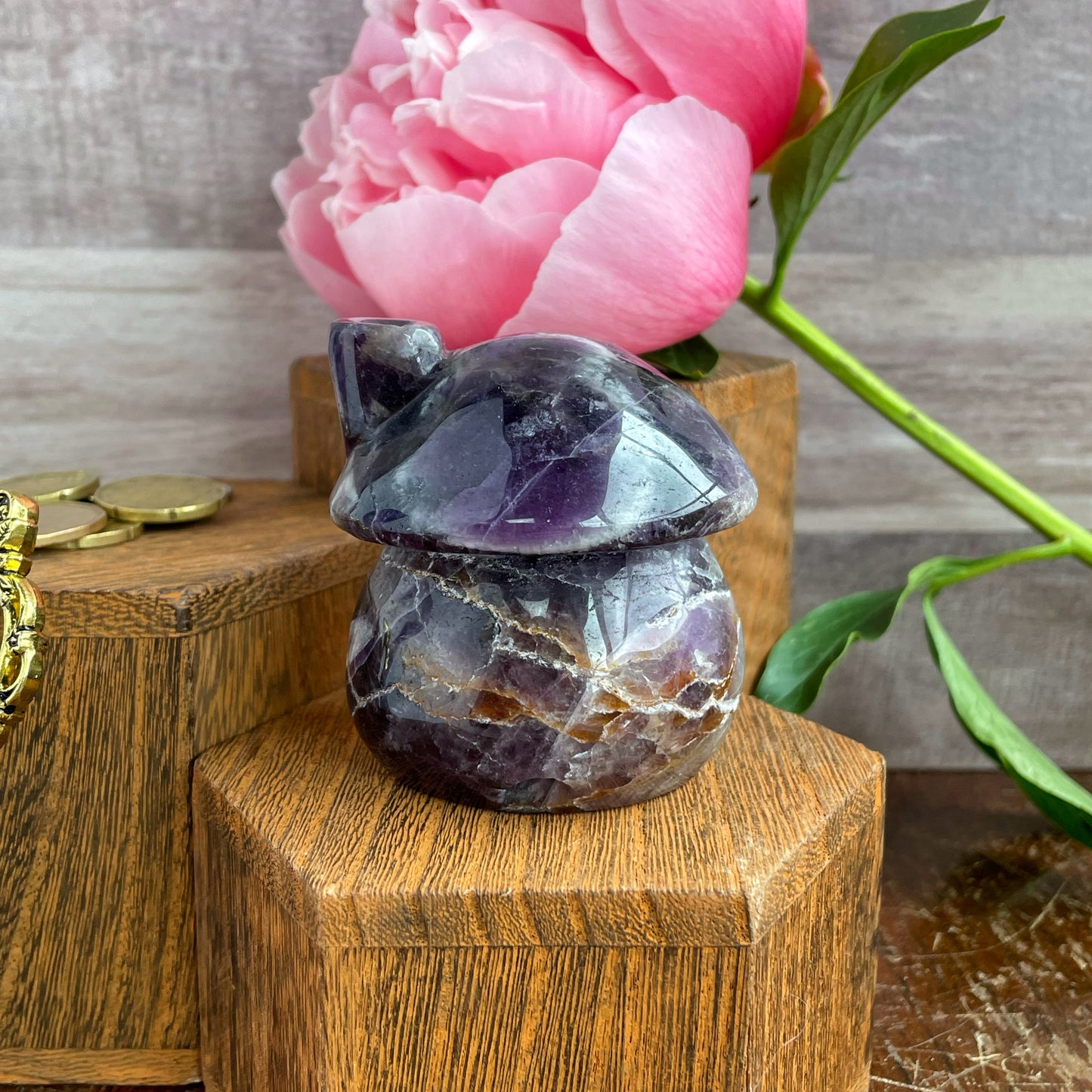 Dream Amethyst Mushroom Hut