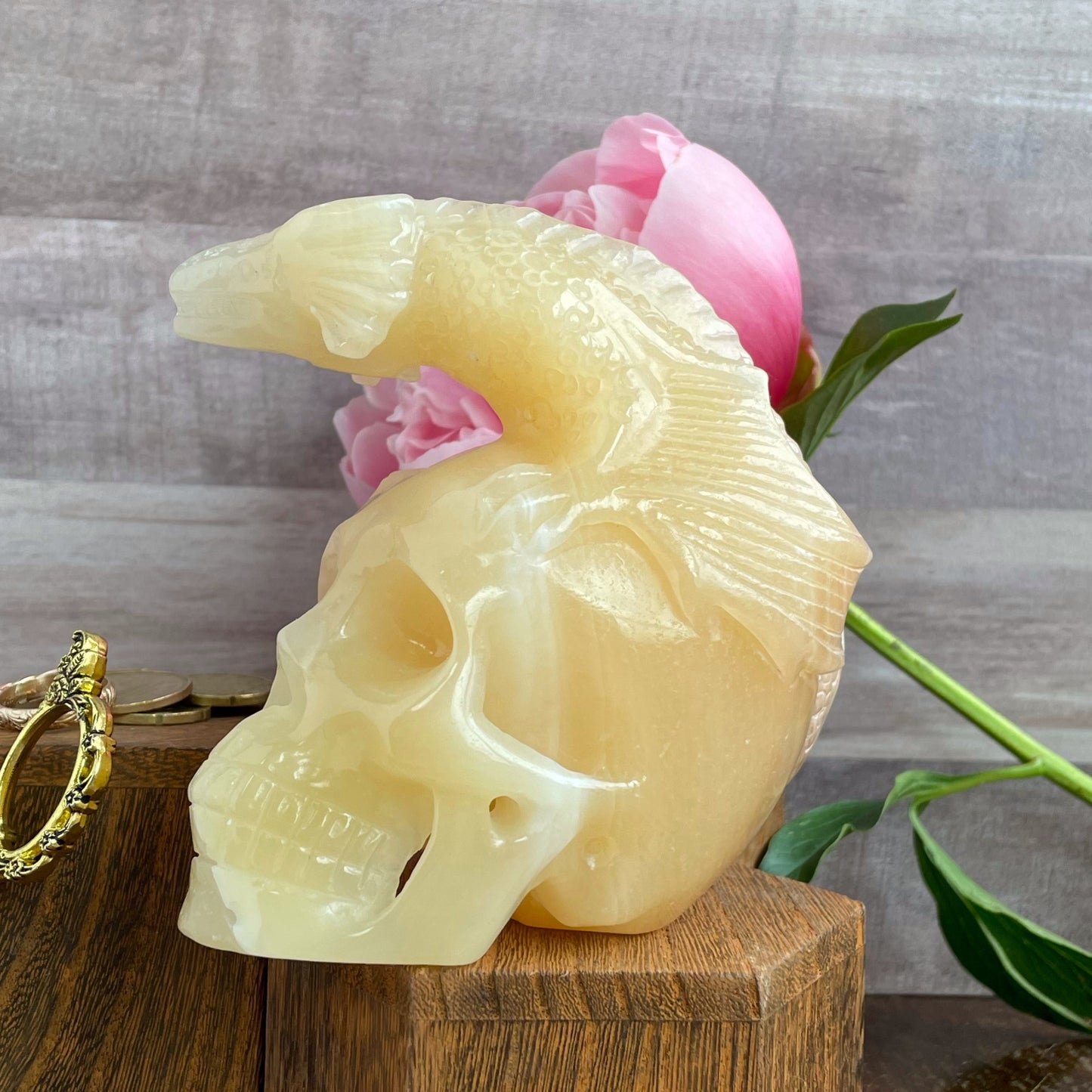 Orange Calcite Dragon on Skull