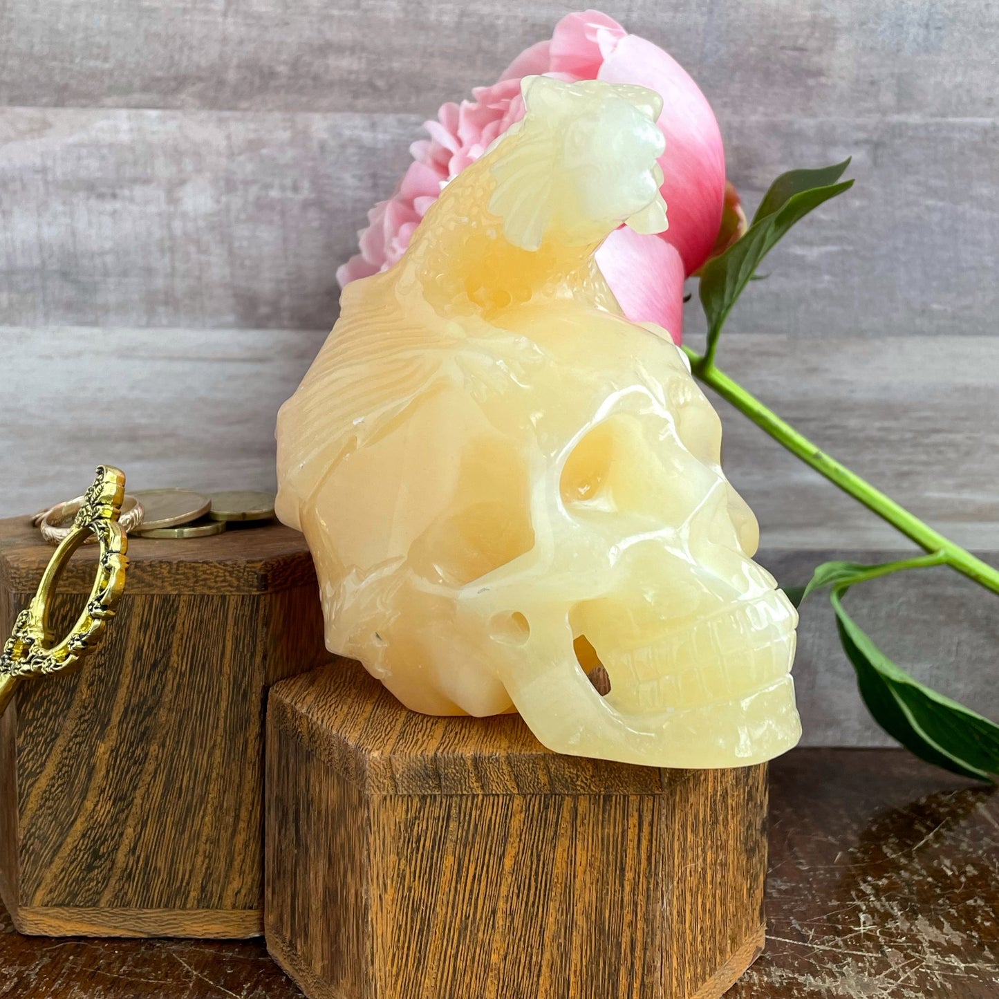 Orange Calcite Dragon on Skull