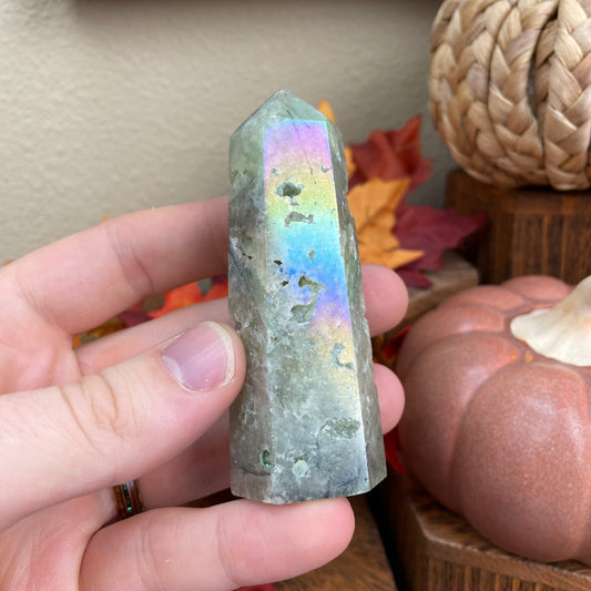 Aura Bundle