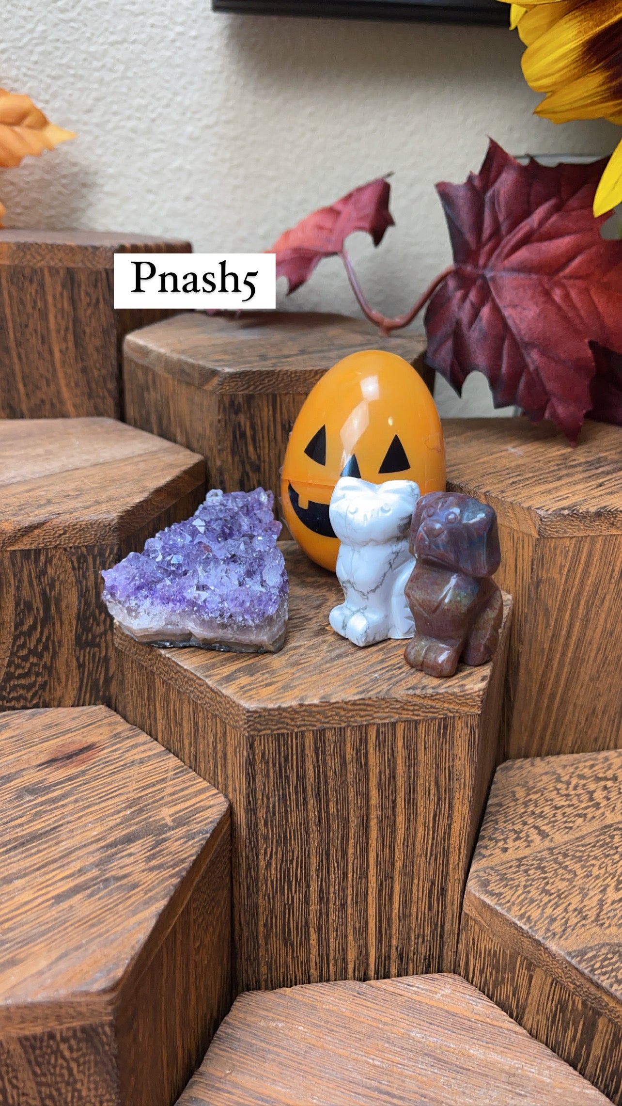 Crystal bundle for @Pnash5