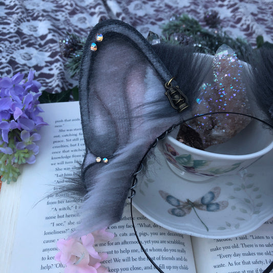 “After Dark” Blue Standard Frenchie Ears ✨🍃