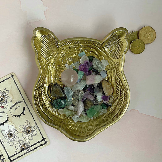 1/4 cup scoop example #1