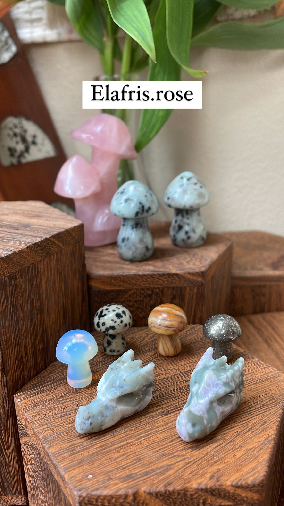 Crystal Bundle for @Elafris.rose
