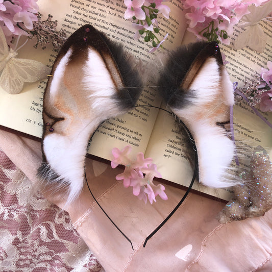‘Demerara Sugar’ Wolf Ears (Lavender)✨🌿