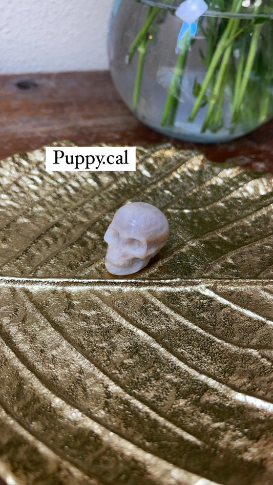 Crystal bundle for @Puppy.cal
