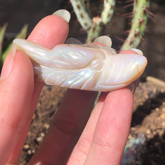 Angel Aura Wolf Head for @emberwolfcosplay 🌿✨