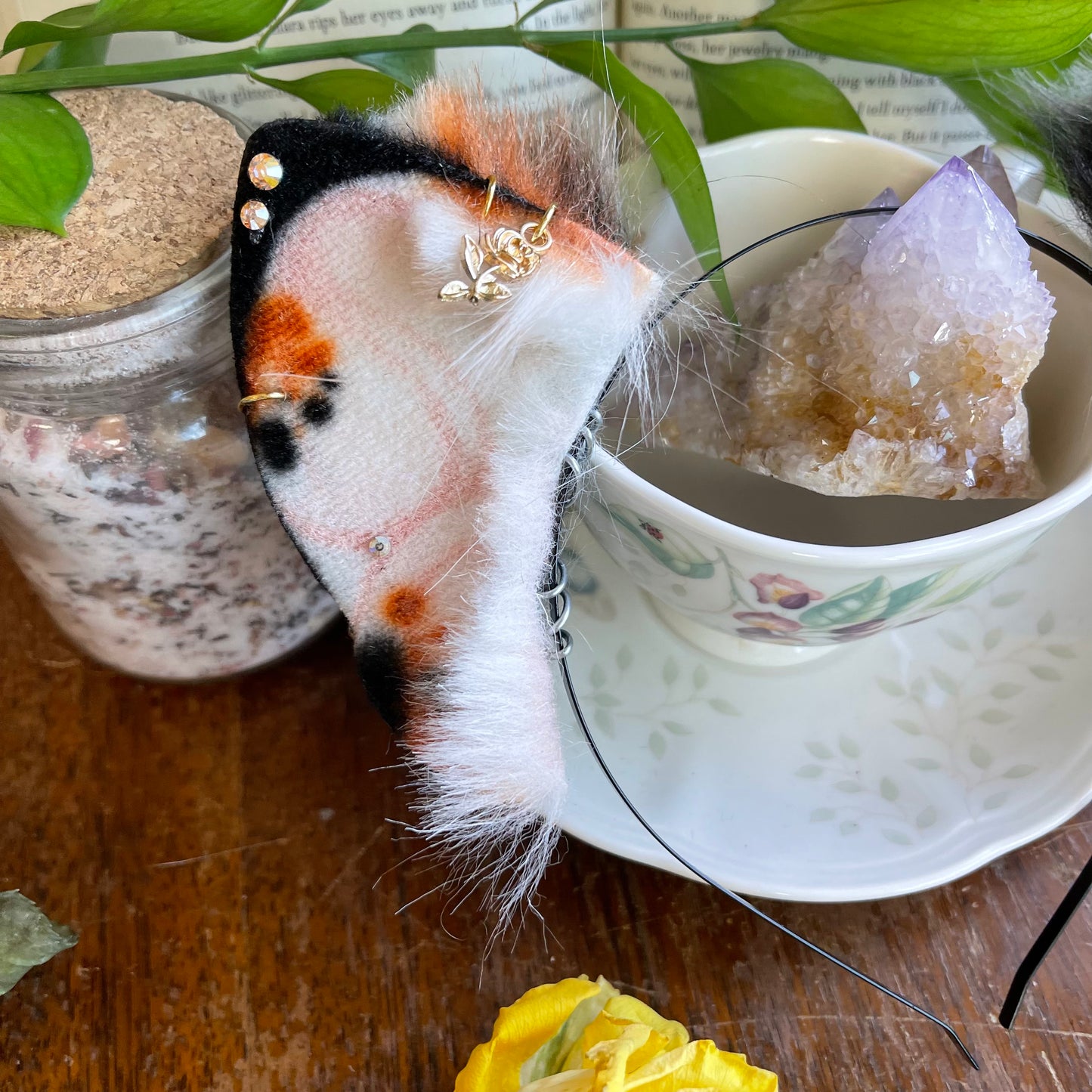 Calico Kitten Ears ✨🌷
