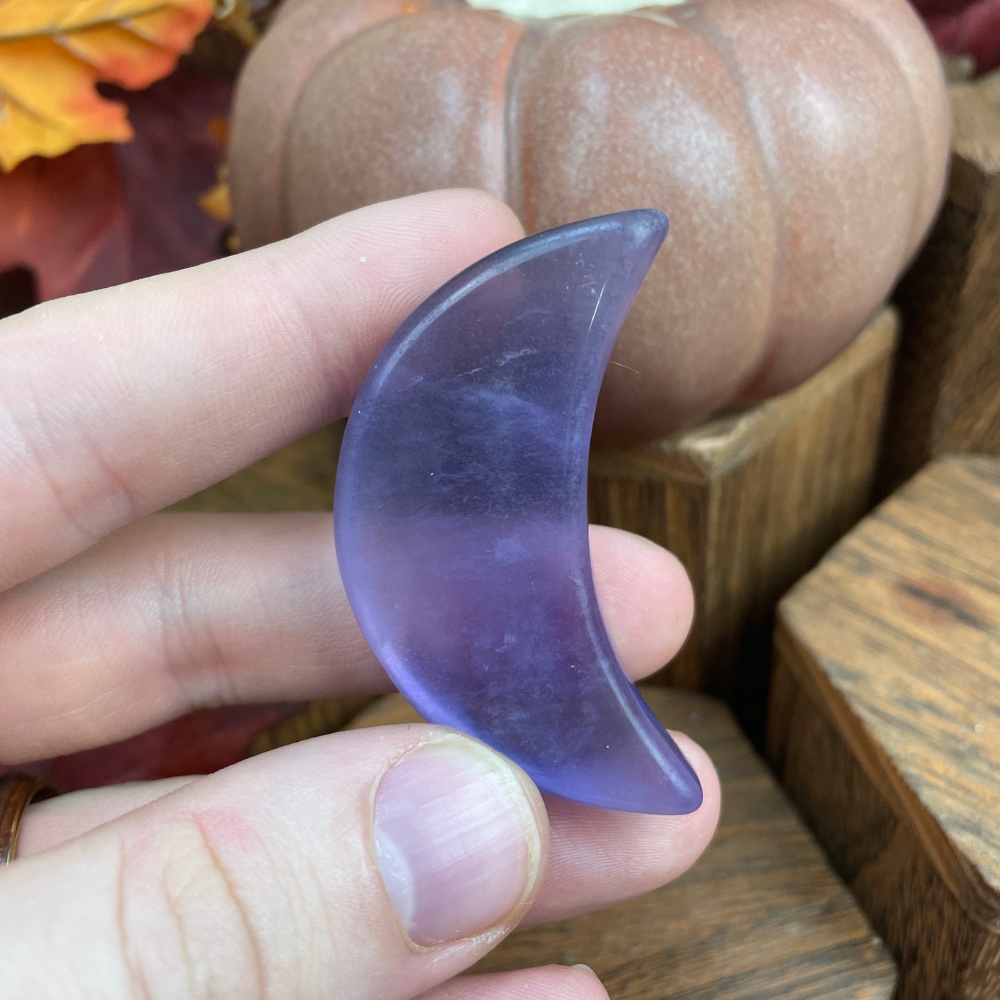 Purple Bundle