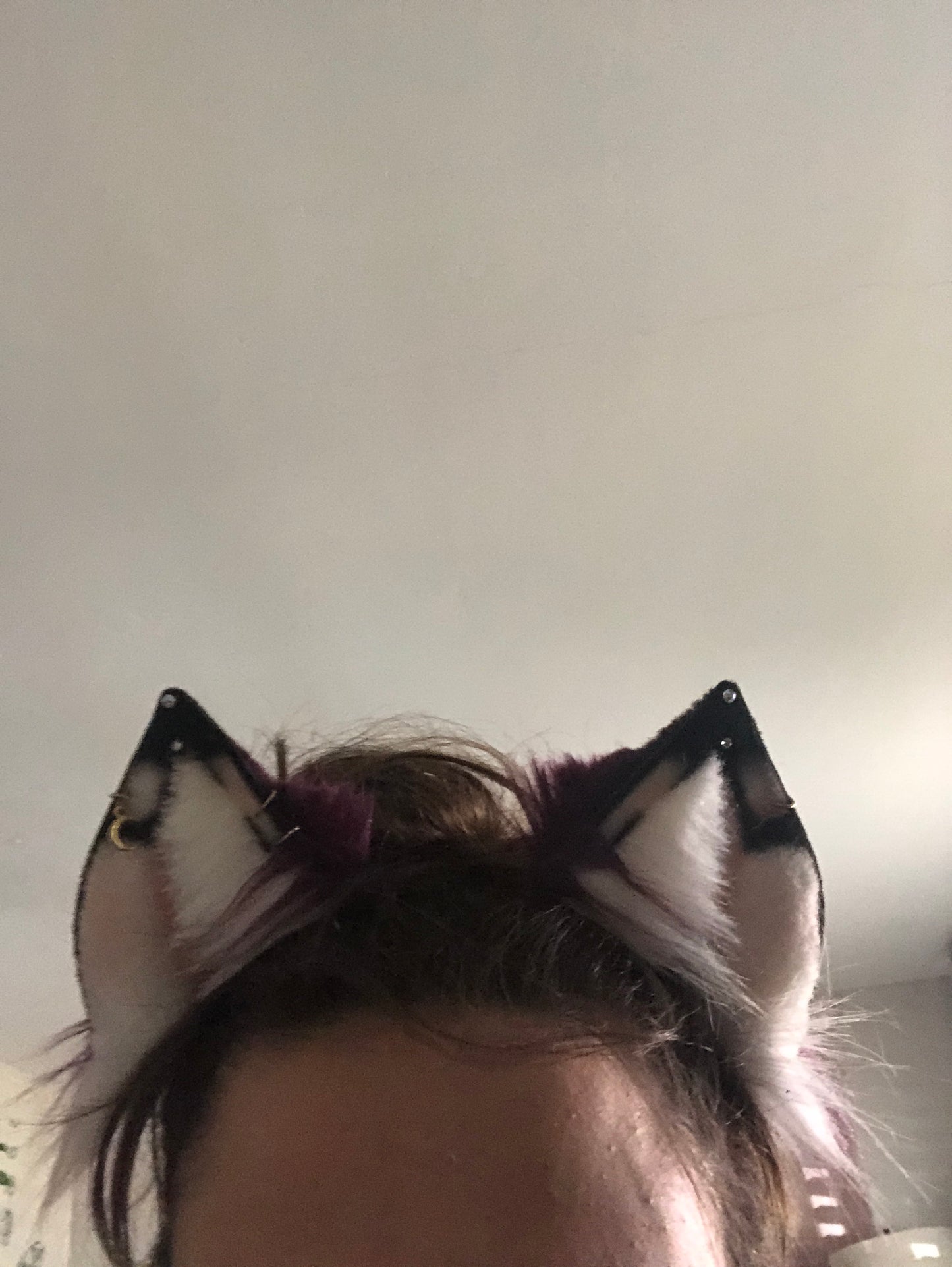 Plum Fox Ears for Dani✨